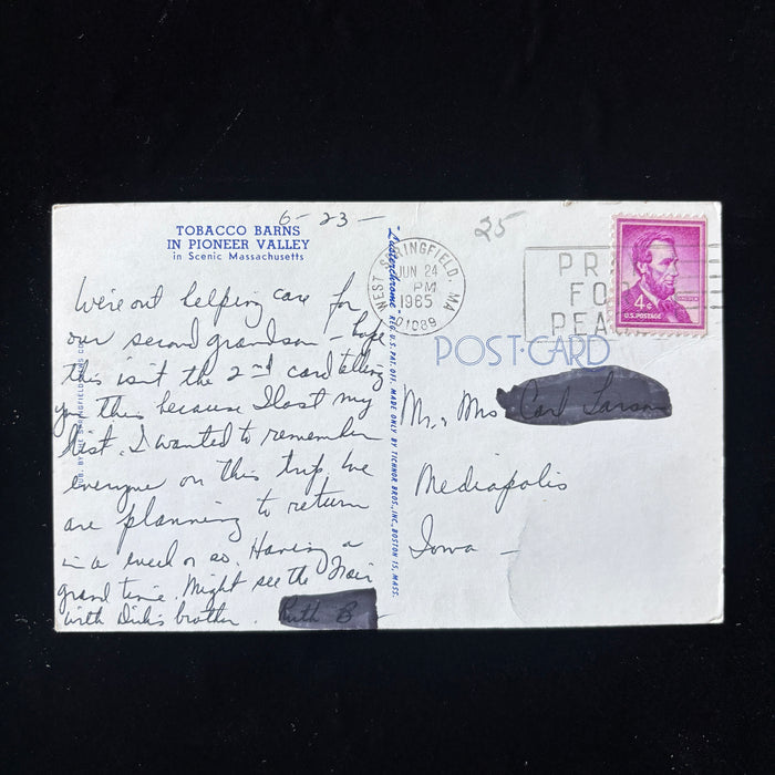 Vintage Postcard 1965 Tobacco Barns Pioneer Valley MA Springfield Grandparents