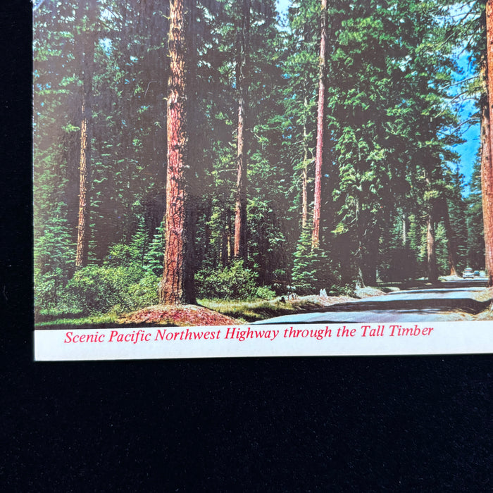Vintage Postcard Lot Steam Train Oregon Mt Hood Portland Zoo Union Oil Travel