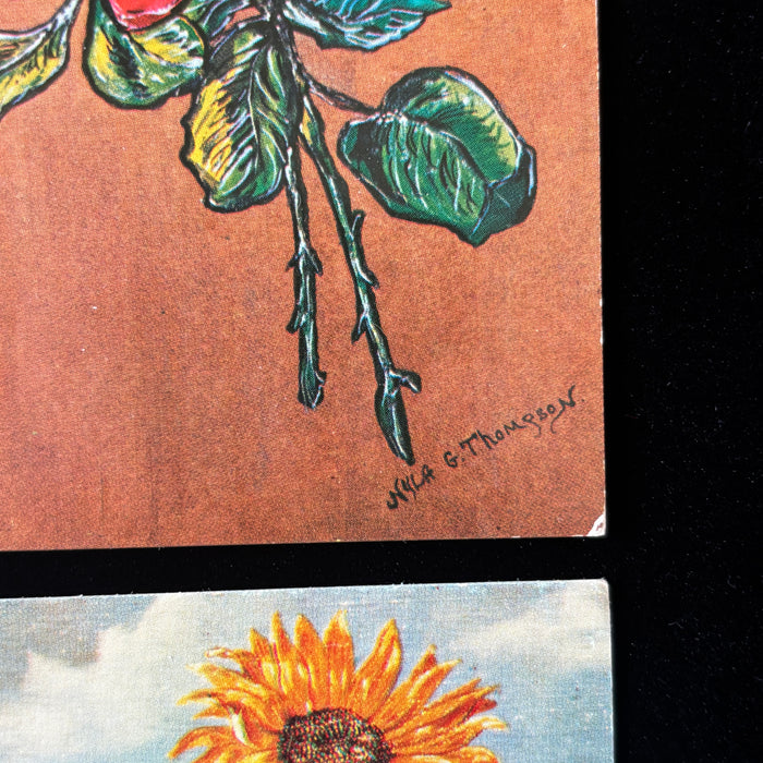 Vintage Postcard Lot Kansas State Flower Sunflower Anemone Nyla Thompson