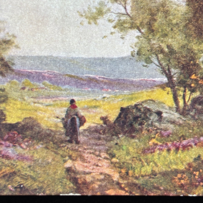Antique Postcard 1909 Saint John KS Horse Mule Incubator Social History Rural