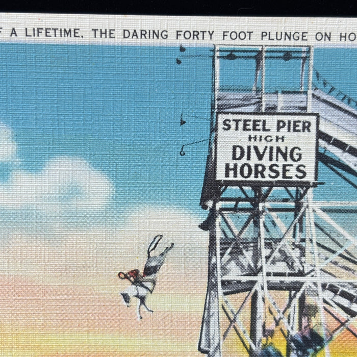 Vintage Postcard 5-Lot Diving Horse Steel Pier Beach Atlantic City NJ Ocean