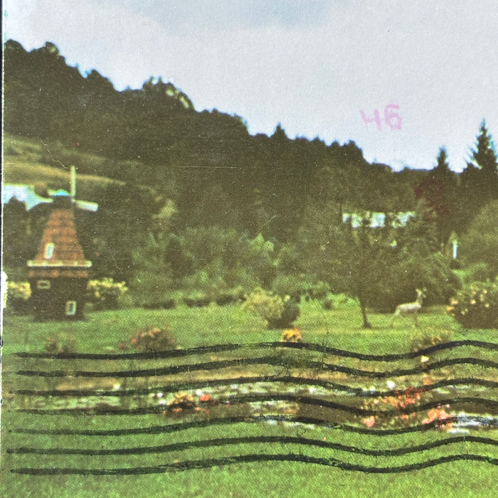 Vintage Postcard 1989 Our Lady Of Pines West Virginia Smallest Church Deer Windmill