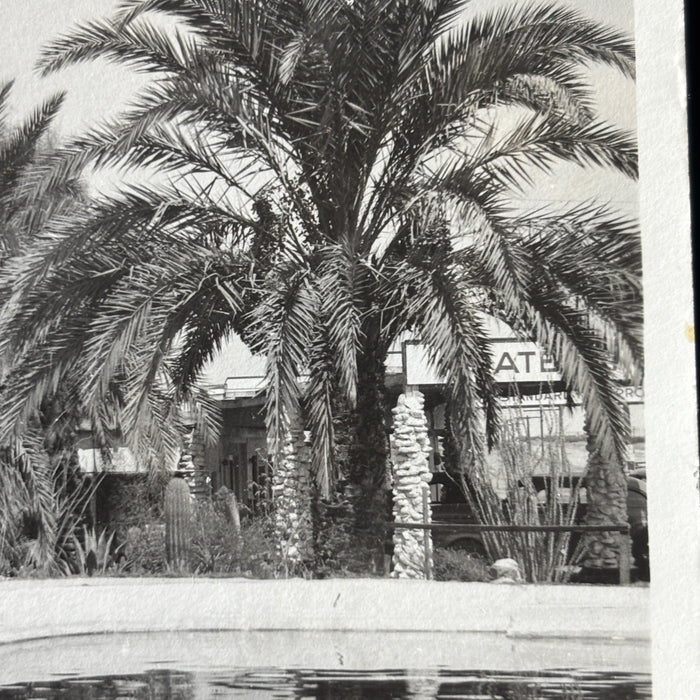Vintage Postcard 1940s WWII Soldier Camp Dateland AZ RPPC Palm Oasis Swimming Pool