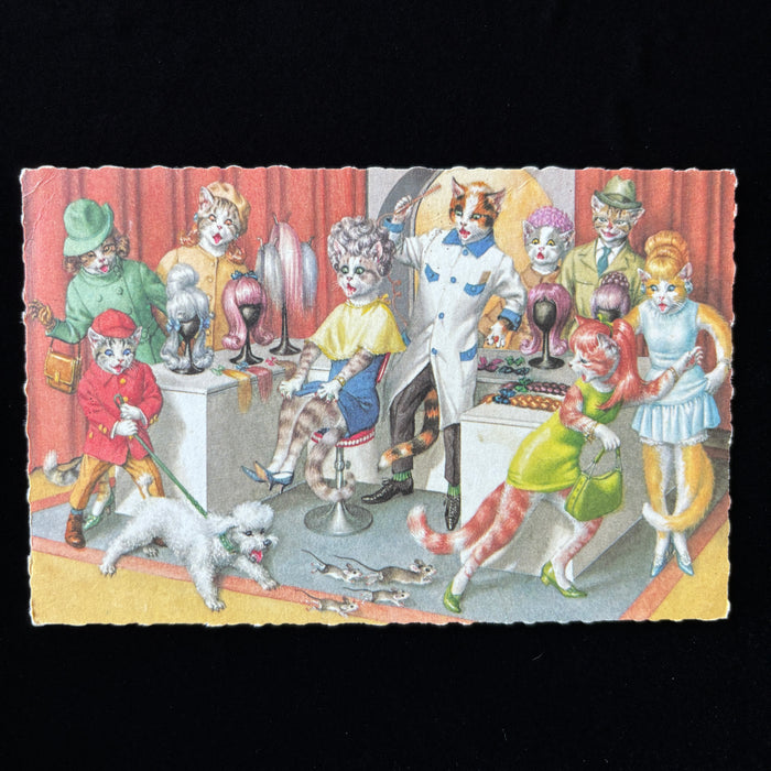 Vintage Postcard 1970 Epidemic Post Alfred Mainzer Cat Hair Salon Mice Poodle