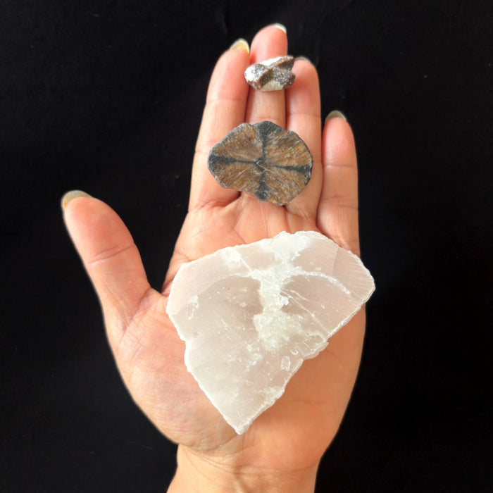 Chiastolite Staurolite Cross Stone Satin Spar Selenite Crystal Set