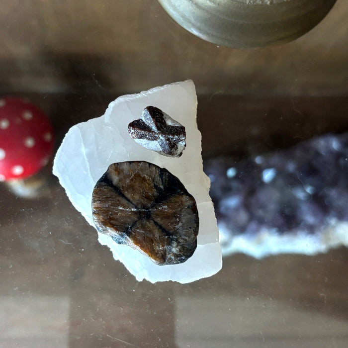 Chiastolite Staurolite Cross Stone Satin Spar Selenite Crystal Set