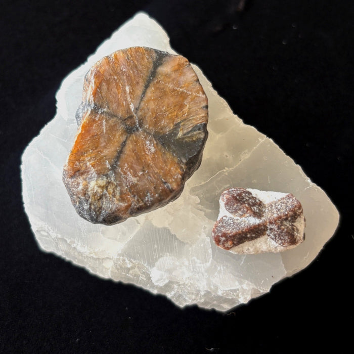 Chiastolite Staurolite Cross Stone Satin Spar Selenite Crystal Set