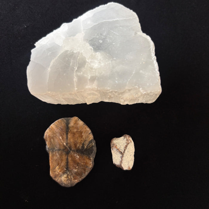 Chiastolite Staurolite Cross Stone Satin Spar Selenite Crystal Set