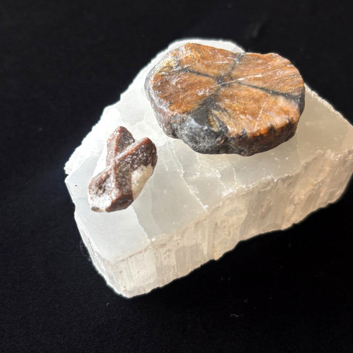 Chiastolite Staurolite Cross Stone Satin Spar Selenite Crystal Set