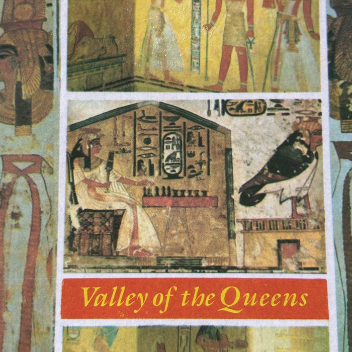 Vintage Postcard Travel Story Poor Friendly Camels Valley Queens Egypt Nefertari
