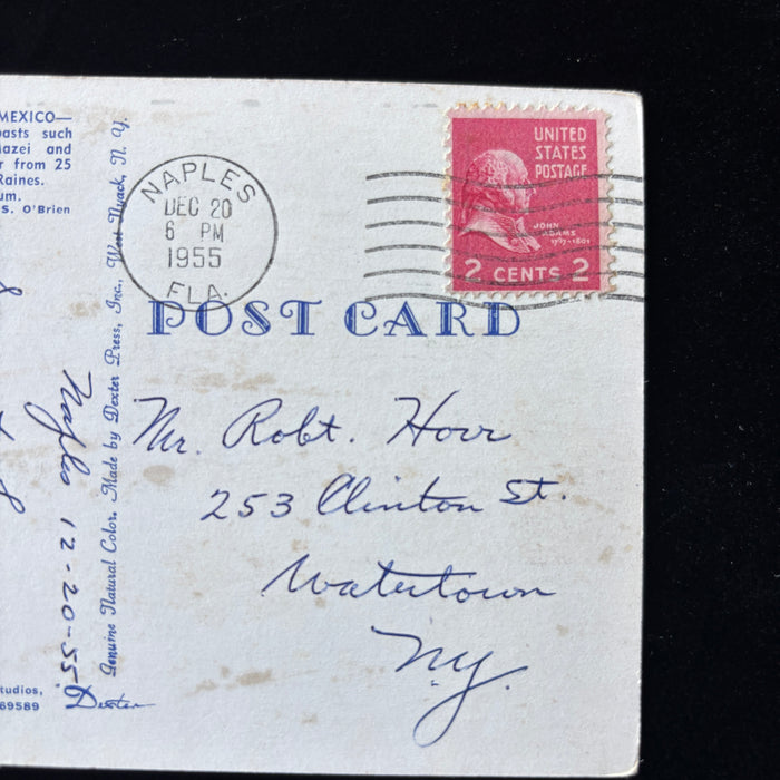 Vintage Postcard 1955 Naples FL Rare Cone Sea Shells Dove Shooting Watertown NY