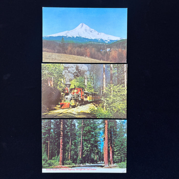 Vintage Postcard Lot Steam Train Oregon Mt Hood Portland Zoo Union Oil Travel