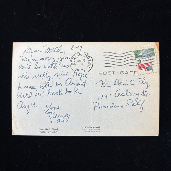 Vintage Postcard 1971 Assateague Island MD Beach Girl Seagulls Berlin Maryland