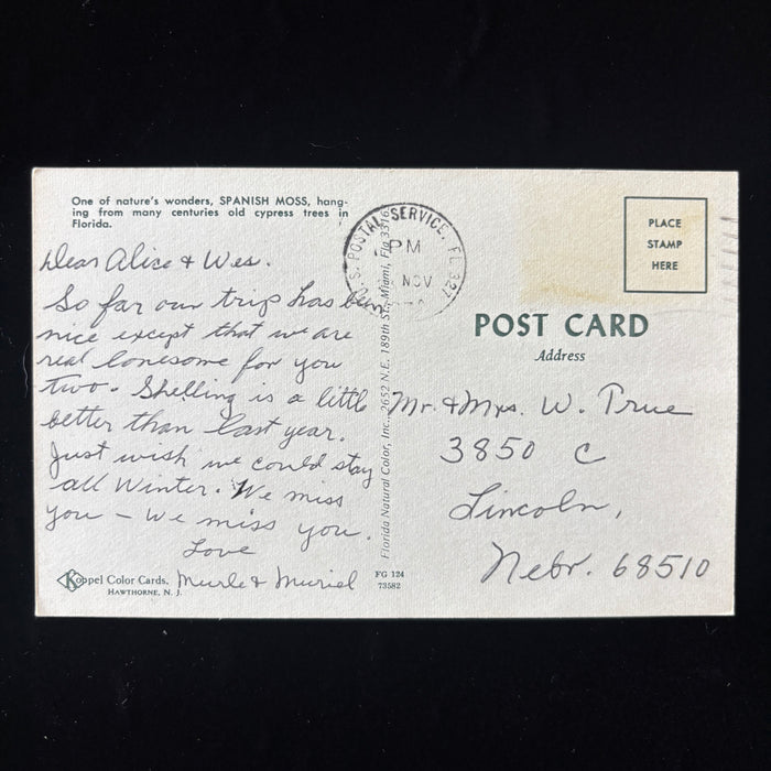 Vintage Postcard Florida Spanish Moss Shelling Lincoln Nebraska Social History