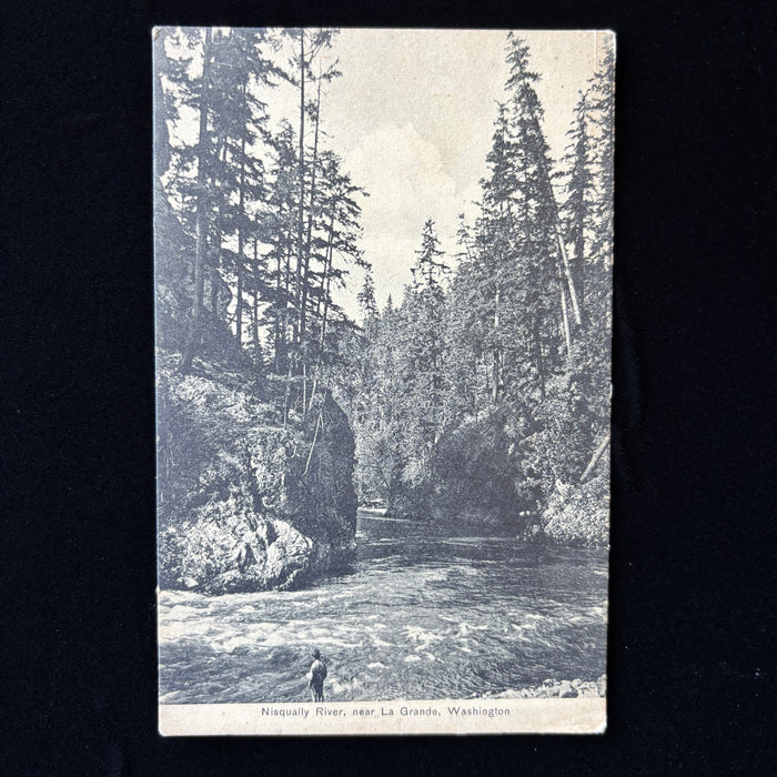 Vintage Postcard Lot Washington Nature Nisqually River La Grande Moclips Ocean