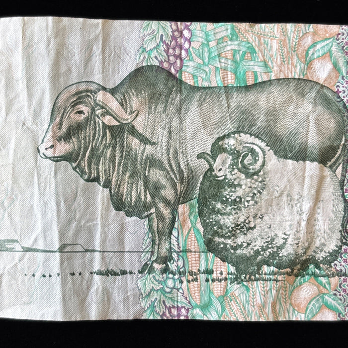 Banknote Vintage South Africa 10 Rand Bull Sheep Watermark UV Verified