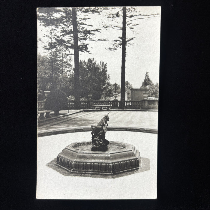 Vintage Postcard 1940s RPPC Grasshopper Fountain Mexico City Chapultepec Castle