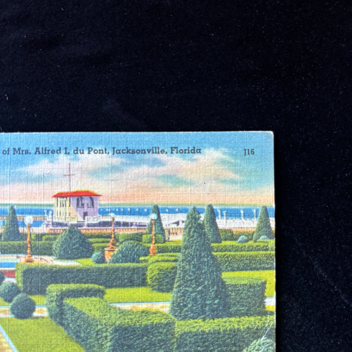 Vintage Postcard 1953 Postcard Collector Epping Forest Garden Jacksonville F