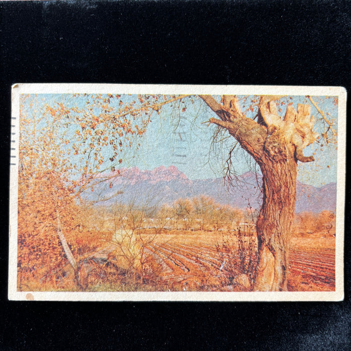 Vintage Postcard 1954 "Hospital Recovery" Las Cruces New Mexico Organ Mountains