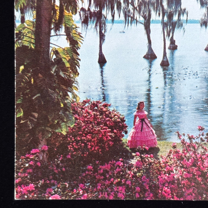 Vintage Postcard Lot Southern Belles Lagoon Florida Cypress Gardens Gazebo Music