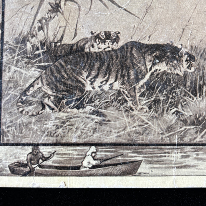 Antique Postcard 1909 Tiger Man-eater Hunting Boat Alligator African Safari Series