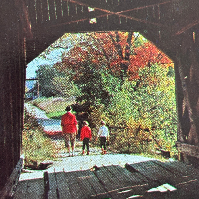 Vintage Postcard Lot Covered Bridges Vermont Americana Chiselville Martins Mill