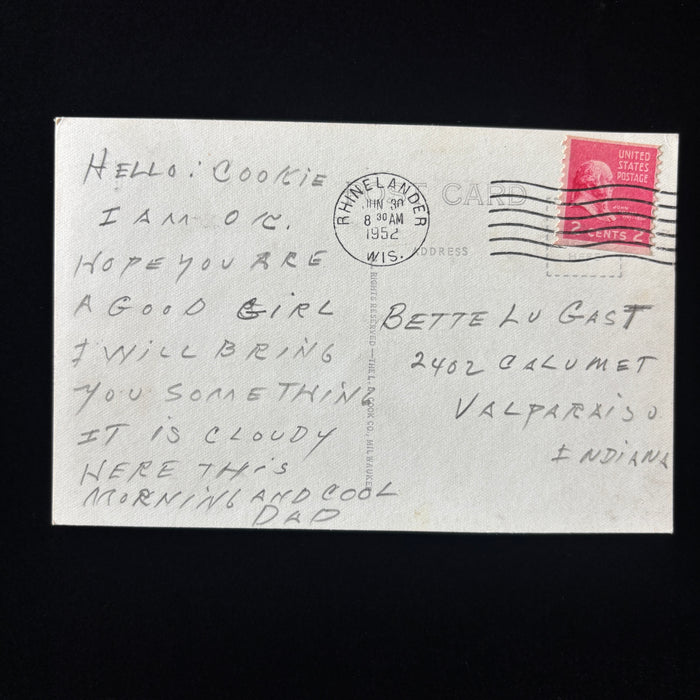 Vintage Postcard 1952 RPPC Black Bear Wildlife Rhinelander Wisconsin Travel Dad