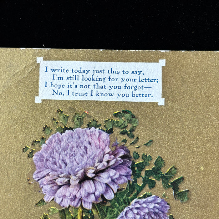 Antique Postcard 1909 Ghost Town DPO Montborne WA Purple Flower Embossed Poem