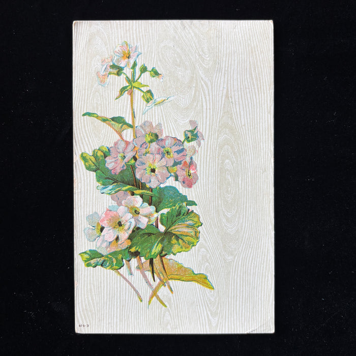 Antique Postcard 1911 Manhattan Kansas Purple Flowers Wood Grain Watermelon