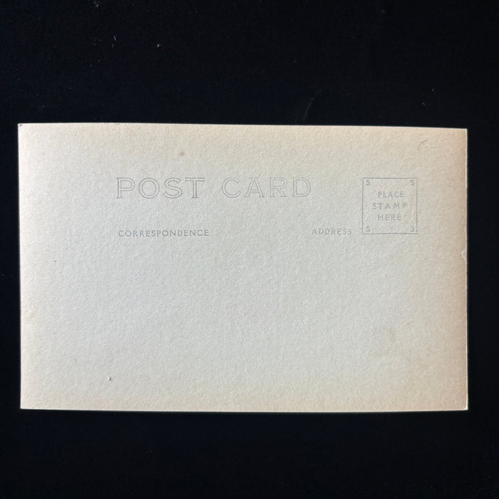Vintage Postcard RPPC Castle Crags Pacific Highway California Mountain Road