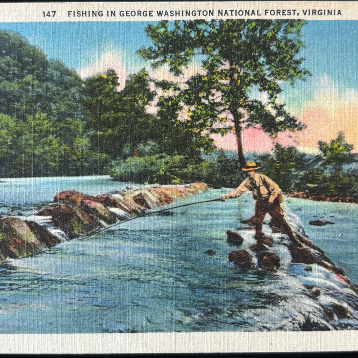 Vintage Postcard Lot Fishing VA Natural Bridge Chimneys Falls Springs Horses