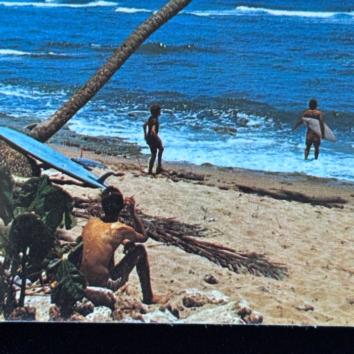 Vintage Postcard Surfing Puerto Rico Rincon Beach Palm Tree Surfboard Caribbean