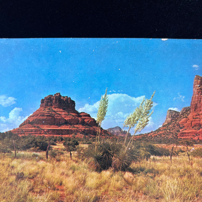 Vintage Postcard Lot Red Rocks Sedona Oak Creek Canyon Rainbow Bridge Bell AZ