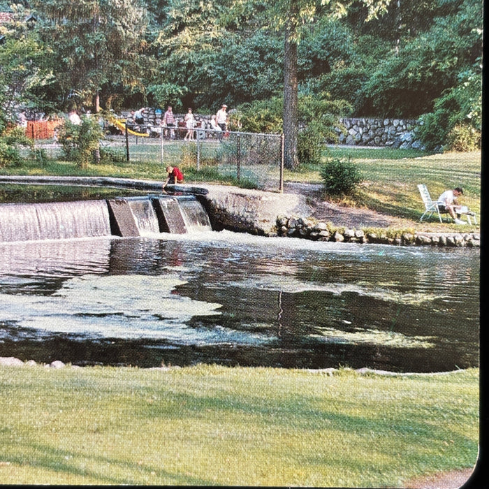 Vintage Postcard Lot Michigan Lansing State Capitol Milham Park Summer Scene