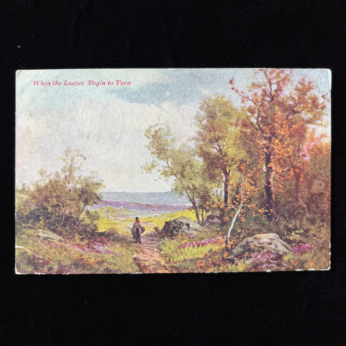 Antique Postcard 1909 Saint John KS Horse Mule Incubator Social History Rural