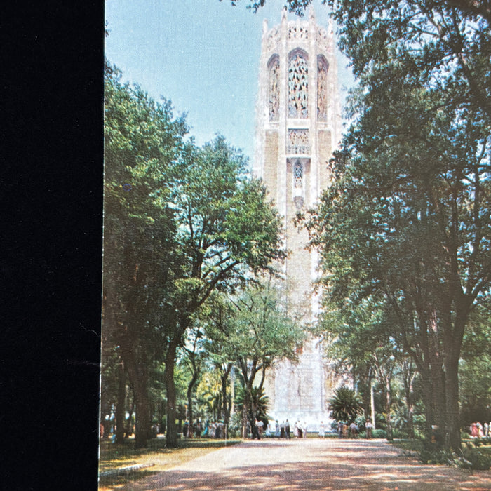 Vintage Postcard Lot FL Tour Oranges Museum Bridge Post Office Miami Resort Cars