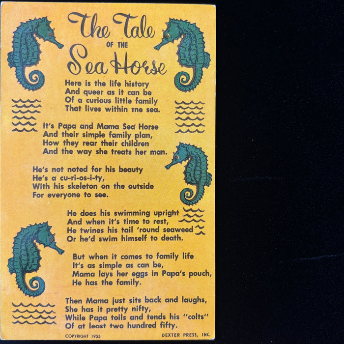 Vintage Postcard Lot Sea Horse Tale Ocean Gems Desert Reverie Antone Martin Poem