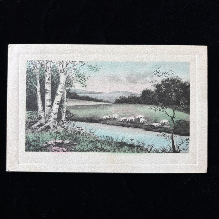 Antique Postcard 1910 Birch Trees Sheep Landscape Art Mullan Idaho Spokane WA