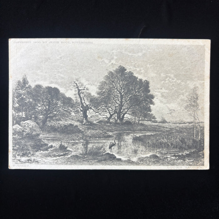 Antique Postcard 1900s Heron Bird Sunset Lucien Gautier Jesse Boot Nottingham UK