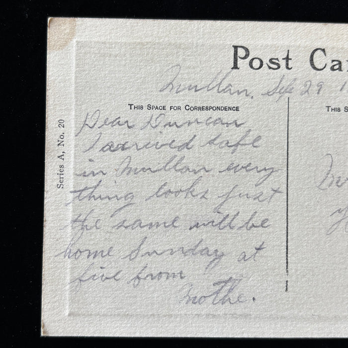 Antique Postcard 1910 Birch Trees Sheep Landscape Art Mullan Idaho Spokane WA