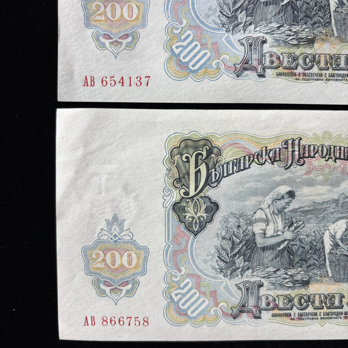 Vintage Banknote Set 1951 Bulgaria 200 Leva UNC Lot Dimitrov Tobacco Harvest