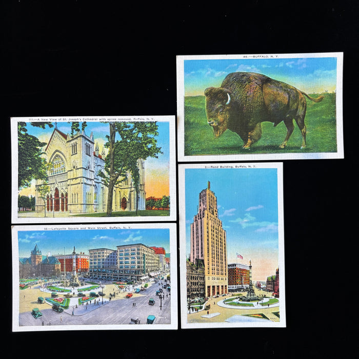 Vintage Postcard Lot Buffalo NY Bison Lafayette Square Rand St Joseph Cathedral