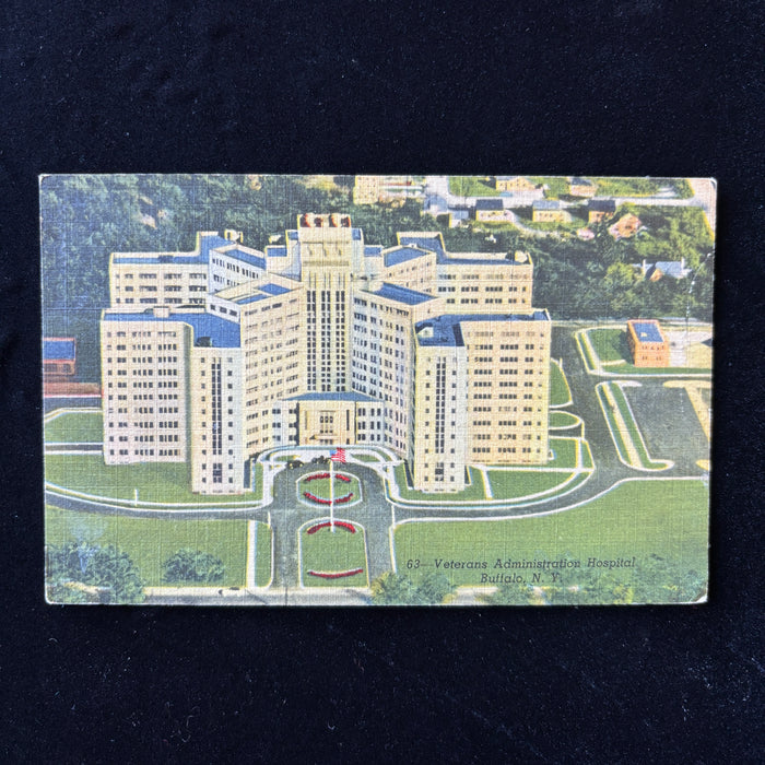 Vintage Postcard 1952 Frozen Flowers Veterans Administration Hospital Buffalo NY