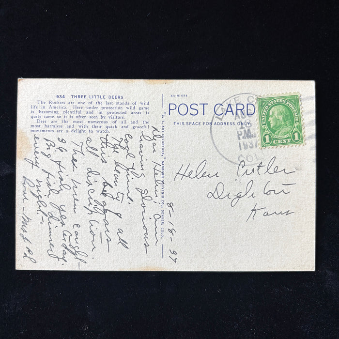 Vintage Postcard 1937 Fish Dinners 3 Deers Rocky Mountains Lake City CO Railway