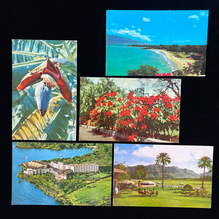 Vintage Postcard Lot Hawaii Maui Kauai Kona Honolulu Surf Hotels Beach Flowers