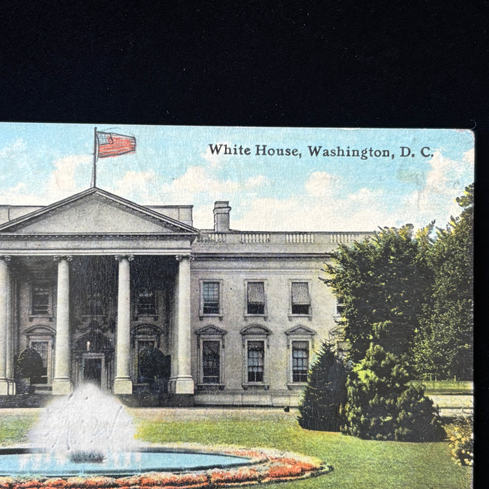 Antique Postcard 1911 Swell Time Money White House Washington DC Social History