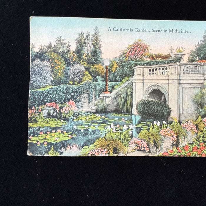 Antique Postcard 1924 California Garden Midwinter L.A. Lily Pond Quick Hello