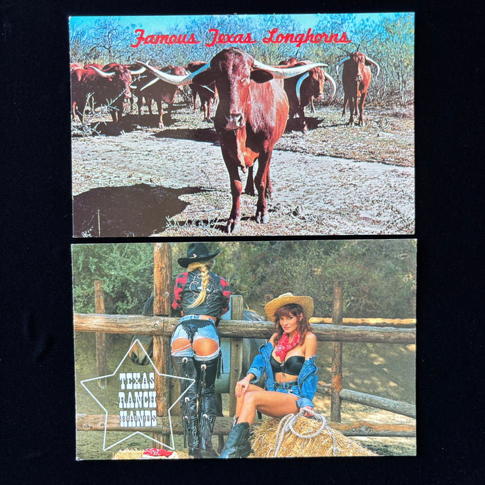 Vintage Postcard Lot Texas Americana Longhorns Cattle Ranch Hands Cowgirl Pinup