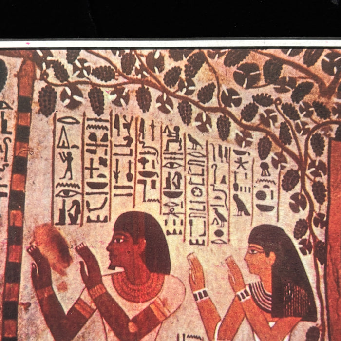 Vintage Postcard Lot Luxor Egypt Tombs Nobles Vineyards Sennefer Bronze Age Art