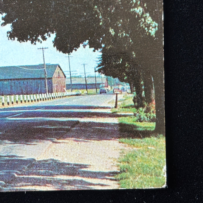 Vintage Postcard 1965 Tobacco Barns Pioneer Valley MA Springfield Grandparents